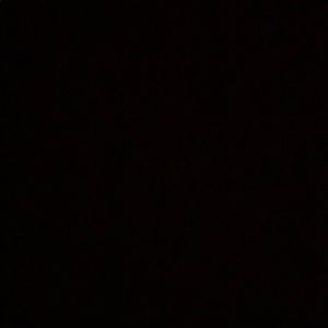 Meet your Posher, Cody